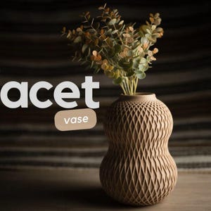 Facet vase, planter, vase, flowers, 3d print, minimalist, planters, sculptural vases, unique, 3d printed vase, decor, room decor, gift