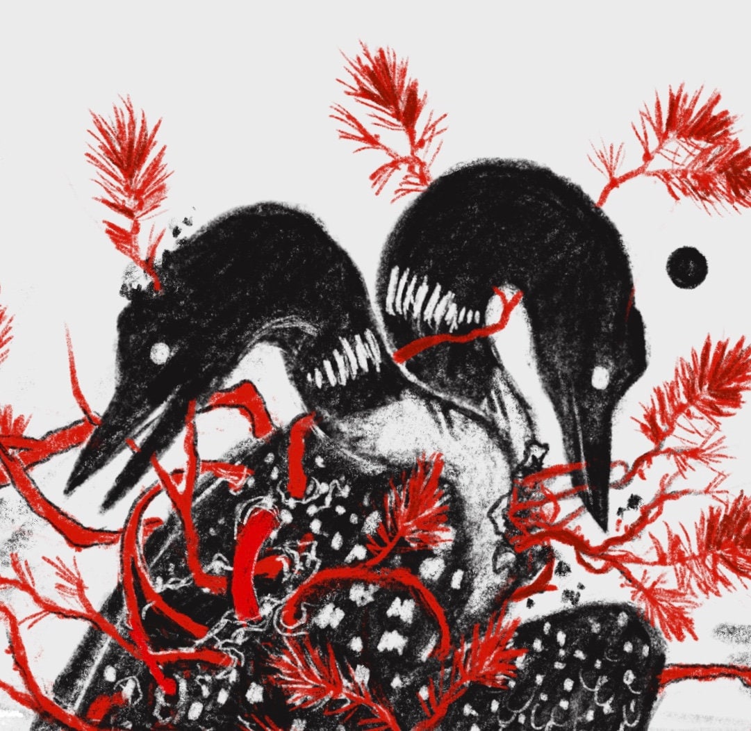 Extricate 8x8 Fine Art Print Loon Bird North Woods Dark Surreal Nature ...