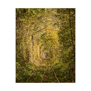 Tunnel of Love in Ukraine Painting | Vertical Matte Print Wall Art Decor | Home Office Dorm Room Decoration | Unique Gift Idea