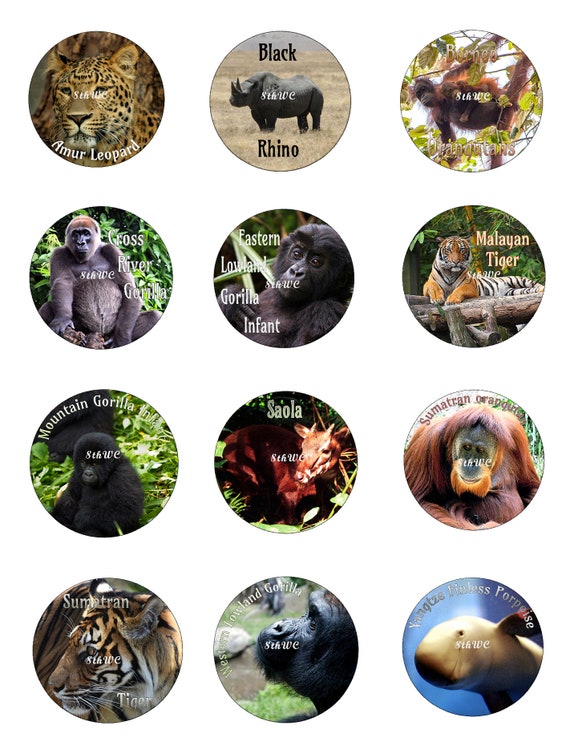 Extinct Animals Collage