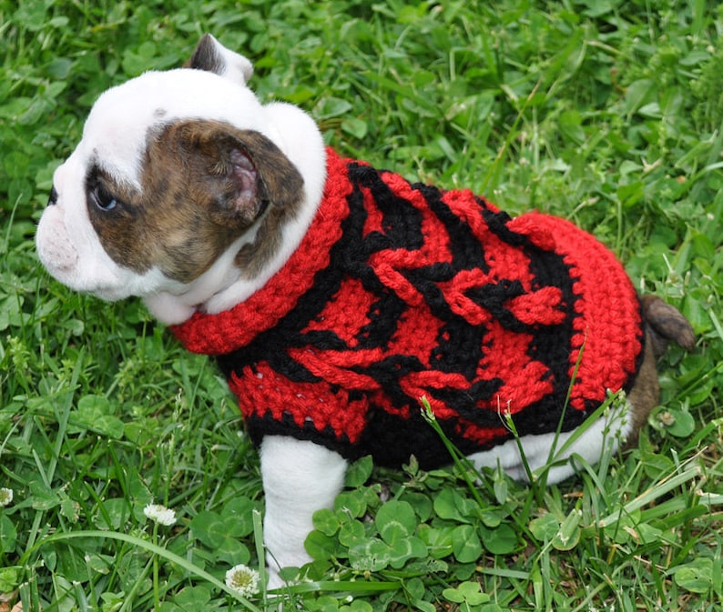 CROCHET PATTERN Small Dog Sweater Dog Sweater Dog Sweater Etsy UK
