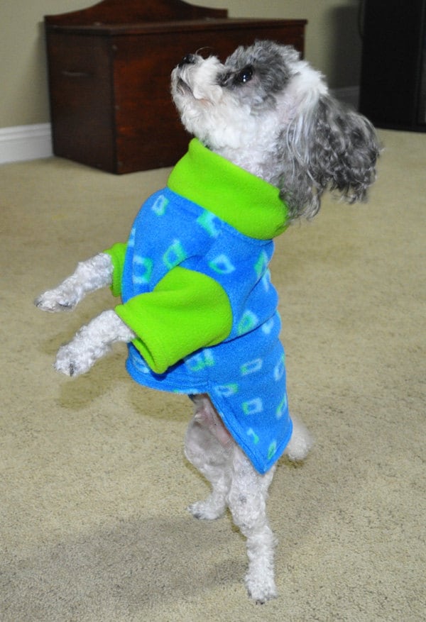 Small Dog FLEECE SWEATER PATTERN Dog Clothes Pdf Sewing Etsy