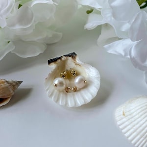 Fish Earrings