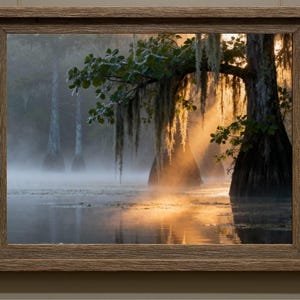 Bayou Sunrise Wall Art: Serene Louisiana Swamp Landscape Print, Nature Photography (Digital Download)