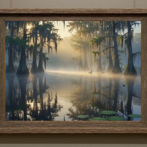 27-006 | Bayou Sunrise Print: Louisiana Bayou Art, Misty Swamp Cypress Trees (Digital Download)

A tranquil Louisiana swamp awakens beneath a golden sunrise, where cypress trees draped in Spanish moss stand like ancient sentinels over still waters. Mist curls gently above the surface, softening reflections and lending a dreamlike hush to the scene.