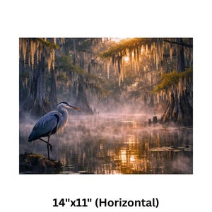 Poster | Louisiana Bayou Sunrise Print, Swamp Art, Southern Landscape, Nature Art, Tranquil Artwork

Step into the tranquil beauty of the Deep South with this atmospheric art print featuring a misty Louisiana swamp at sunrise. A majestic great blue heron stands poised on a mossy stump, its silhouette framed by golden light filtering through ancient cypress trees draped in Spanish moss. The still water mirrors the soft glow of dawn and scattered lily pads, creating a serene, dreamlike reflection.