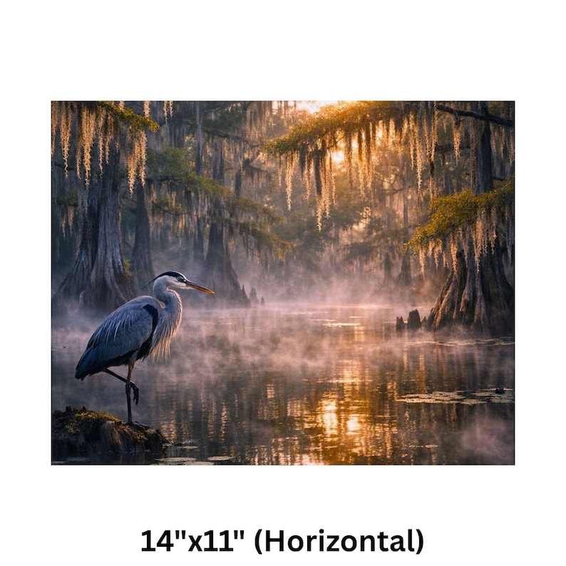 Poster | Louisiana Bayou Sunrise Print, Swamp Art, Southern Landscape, Nature Art, Tranquil Artwork

Step into the tranquil beauty of the Deep South with this atmospheric art print featuring a misty Louisiana swamp at sunrise. A majestic great blue heron stands poised on a mossy stump, its silhouette framed by golden light filtering through ancient cypress trees draped in Spanish moss. The still water mirrors the soft glow of dawn and scattered lily pads, creating a serene, dreamlike reflection.