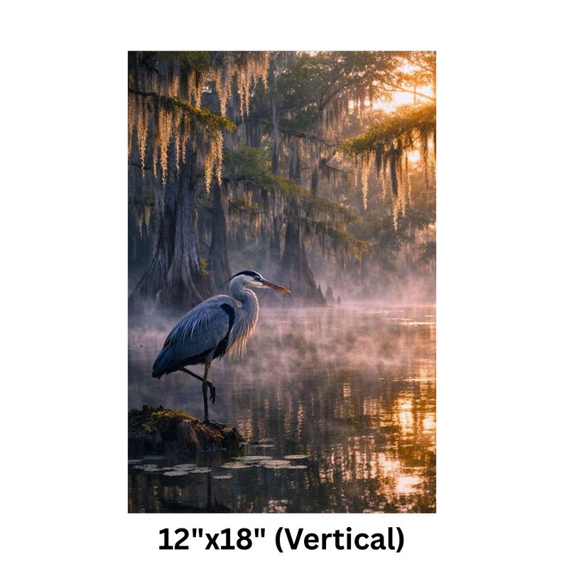 Poster | Louisiana Bayou Sunrise Print, Swamp Art, Southern Landscape, Nature Art, Tranquil Artwork

Step into the tranquil beauty of the Deep South with this atmospheric art print featuring a misty Louisiana swamp at sunrise. A majestic great blue heron stands poised on a mossy stump, its silhouette framed by golden light filtering through ancient cypress trees draped in Spanish moss. The still water mirrors the soft glow of dawn and scattered lily pads, creating a serene, dreamlike reflection.
