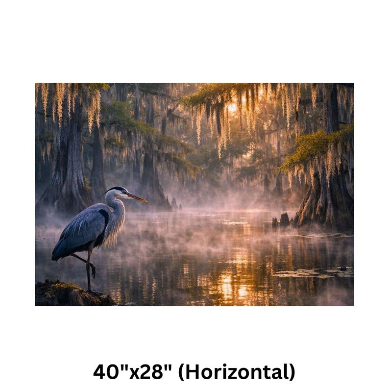 May include: A serene landscape print featuring a great blue heron standing on one leg near a misty lake. The artwork showcases a tranquil scene with cypress trees and Spanish moss, bathed in warm sunlight. The print measures 40" x 28" (Horizontal).