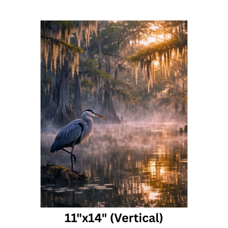 Poster | Louisiana Bayou Sunrise Print, Swamp Art, Southern Landscape, Nature Art, Tranquil Artwork

Step into the tranquil beauty of the Deep South with this atmospheric art print featuring a misty Louisiana swamp at sunrise. A majestic great blue heron stands poised on a mossy stump, its silhouette framed by golden light filtering through ancient cypress trees draped in Spanish moss. The still water mirrors the soft glow of dawn and scattered lily pads, creating a serene, dreamlike reflection.