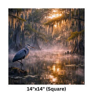 Poster | Louisiana Bayou Sunrise Print, Swamp Art, Southern Landscape, Nature Art, Tranquil Artwork

Step into the tranquil beauty of the Deep South with this atmospheric art print featuring a misty Louisiana swamp at sunrise. A majestic great blue heron stands poised on a mossy stump, its silhouette framed by golden light filtering through ancient cypress trees draped in Spanish moss. The still water mirrors the soft glow of dawn and scattered lily pads, creating a serene, dreamlike reflection.