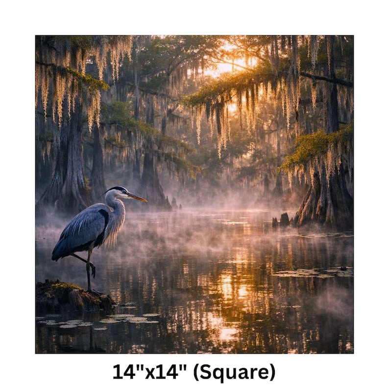 Poster | Louisiana Bayou Sunrise Print, Swamp Art, Southern Landscape, Nature Art, Tranquil Artwork

Step into the tranquil beauty of the Deep South with this atmospheric art print featuring a misty Louisiana swamp at sunrise. A majestic great blue heron stands poised on a mossy stump, its silhouette framed by golden light filtering through ancient cypress trees draped in Spanish moss. The still water mirrors the soft glow of dawn and scattered lily pads, creating a serene, dreamlike reflection.