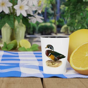 Vaso de chupito de pato de madera Drake / Arte vintage de aves acuáticas imagen 7