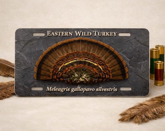 Eastern Wild Turkey Fan Tail Glossy Vanity Plate | Meleagris gallopavo silvestris