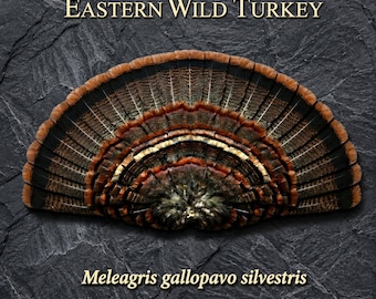 Eastern Wild Turkey Metal Art | Game Bird Hunting Gift