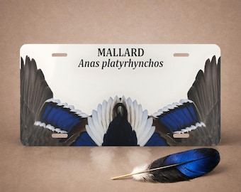 Mallard Duck Feather Board Aluminum Vanity Plate - Anas Platyrhynchos Front License Tag