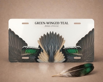 Green Winged Teal Feather Board Aluminum Vanity Plate - Anas crecca Front License Tag