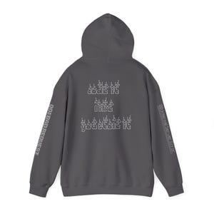 Puede incluir: Una sudadera con capucha de color gris oscuro con texto pixelado blanco en la parte posterior que dice "act like you stole it". Las mangas presentan texto pixelado blanco adicional con "400: BAD REQUEST" a la izquierda y "500: Internal Server Error" a la derecha.