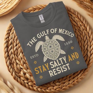 Gulf of Mexico Stay Salty Resistance Shirt, Resist Shirt, Anti Trump Shirt, Democrat Shirt, Democrat Gift Shirt
