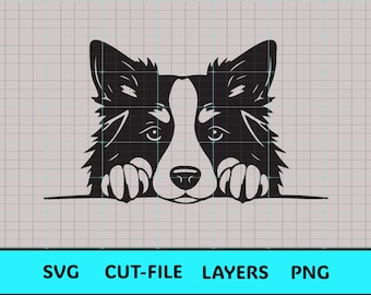 Border Collie hund kikar SVG | Enkel att klippa fil | Sublimering PNG | Cricut & Silhouette