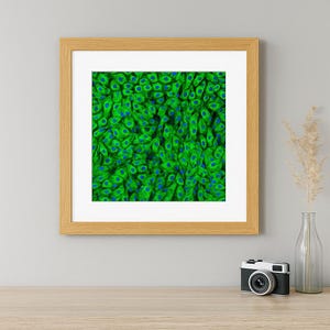 Op de afbeelding: Een ingelijste print met een microscopische afbeelding van cellen. De cellen zijn voornamelijk groen met blauwe kernen, wat een gedetailleerd patroon vormt. Het kunstwerk wordt gepresenteerd in een lichtbruine houten lijst.
