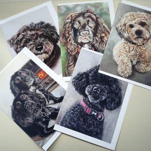 Tarjeta de felicitación con la imagen de un perro, en blanco por dentro, mascotas, perros, cumpleaños para cualquier ocasión, paquete múltiple con sobres, tarjetas de artistas de mascotas.