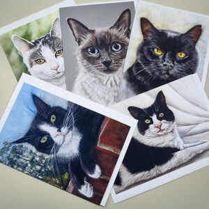 Grußkarte mit einem Bild von einer Katze, Innenseite blanko, Haustiere, Katzen, Geburtstage jede Gelegenheit, Multipack mit Umschlägen, Haustier-Künstlerkarten.