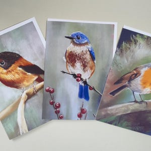 Cartões comemorativos com imagem de pássaro, Em branco por dentro, Aves selvagens, Aniversários em qualquer ocasião, Pacote múltiplo com envelopes.