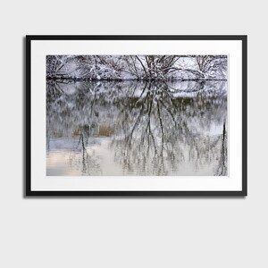 Photograph of Tree branches reflected on the frozen lake surface. | Fine Art Print | Wall Print Decor | Minimalist Winter Photography
