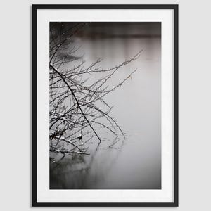 A tree branch touches the frozen lake reflection. | Fine Art Print | Minimalist Winter Photography
