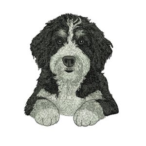 May include: An embroidered image of a Bernedoodle dog, featuring a black and white color scheme. The dog has a fluffy, textured appearance with a white stripe on its forehead and a black nose. The dog is depicted in a seated position, with its paws visible.