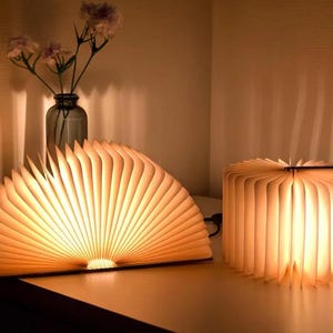 May include: Two illuminated book-shaped lamps with open, fanned-out pages. One is a half-circle, the other a cube. The warm light emanates from the pages, creating a cozy ambiance. A vase of flowers sits in the background.