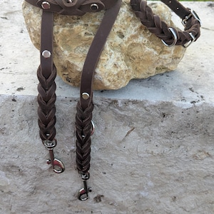 Könnte beinhalten: Ein braunes Leder-Hundeleinen-Set, einschließlich einer Leine, eines passenden Halsbands und einer gerollten Leine. Die Leine hat geflochtene Akzente und silberfarbene Metallbeschläge. Das Set wird auf einer Steinoberfläche präsentiert.