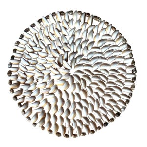 May include: Circular decorative piece made of numerous white seashells, arranged in a spiral pattern. The outer edge is lined with small, dark-colored shells. The design is set against a white background, creating a natural, coastal aesthetic.