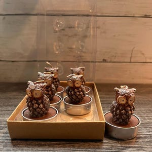 May include: A set of brown owl-shaped candles with textured bodies resembling pinecones. The candles feature large circular eyes and are presented in a cardboard box with a clear plastic lid, with one additional owl candle placed outside the box.