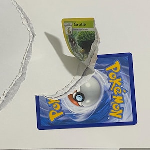 May include: A torn white surface reveals a Pok&eacute;mon trading card. The card's back is blue with the Pok&eacute;mon logo and a Pok&eacute; Ball design. A Grotle card is partially visible, with green and yellow accents.