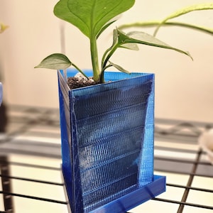 May include: A blue, geometric planter with a small green plant. The planter has a unique, angled design and a matching base. The plant has large, heart-shaped leaves and is potted in dark soil. The planter is sitting on a black wire shelf.