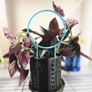 Legacy Halo Trellis | 4 Sizes, Customizable | 3D Printed Circle Shaped Trellis | Heat Resistant