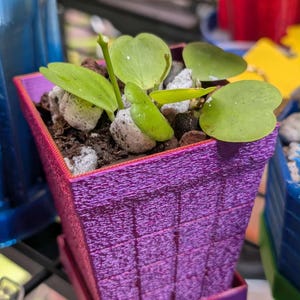 Brick Wall Aroid Vase Planter | 3D Printed Rectangular Pot | Heat Resistant | Various Sizes
