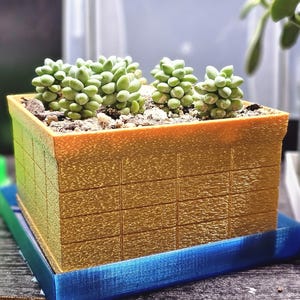 Brick Wall Succulent Planter | 3D Printed Rectangular Pot | Heat Resistant | Various Sizes