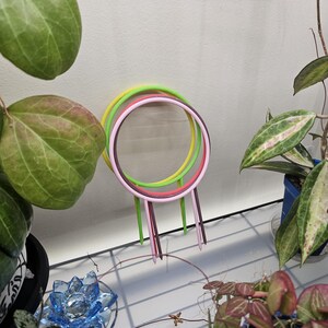 May include: Three circular plant trellises with pointed stakes for soil insertion. The trellises are colored in bright neon yellow, light pink, and a deep maroon, each featuring a ring top design intended for supporting climbing houseplant stems.