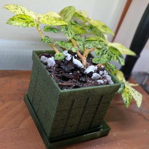 Brick Wall Peperomia Planter | 3D Printed Rectangular Pot | Heat Resistant | Various Sizes
