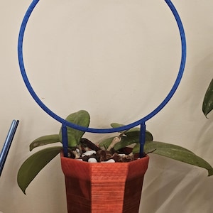 May include: A red, geometric-shaped planter with a blue circular plant support. The planter holds a green plant with large leaves and white stones. The plant support is a blue circle attached to the planter.