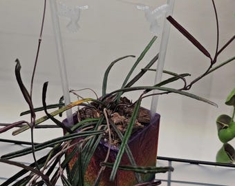 Arch Plant Trellis Series,  Two Distinct Styles , Indoor Climbing Plant Decor, Houseplant Gift