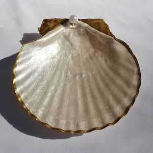 Puede incluir: Una concha de vieira decorativa y abierta con un acabado nacarado. Los bordes de la concha est&aacute;n adornados con oro y una peque&ntilde;a perla se encuentra en la parte superior. La concha tiene una forma natural y el efecto general es elegante y costero.