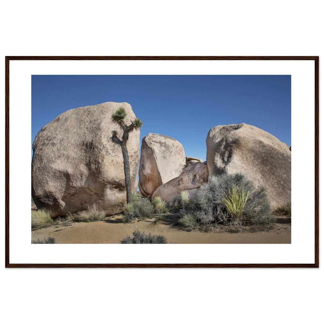 Framed Desert Landscape Photography: Joshua Tree, Southwestern Wall Art ...