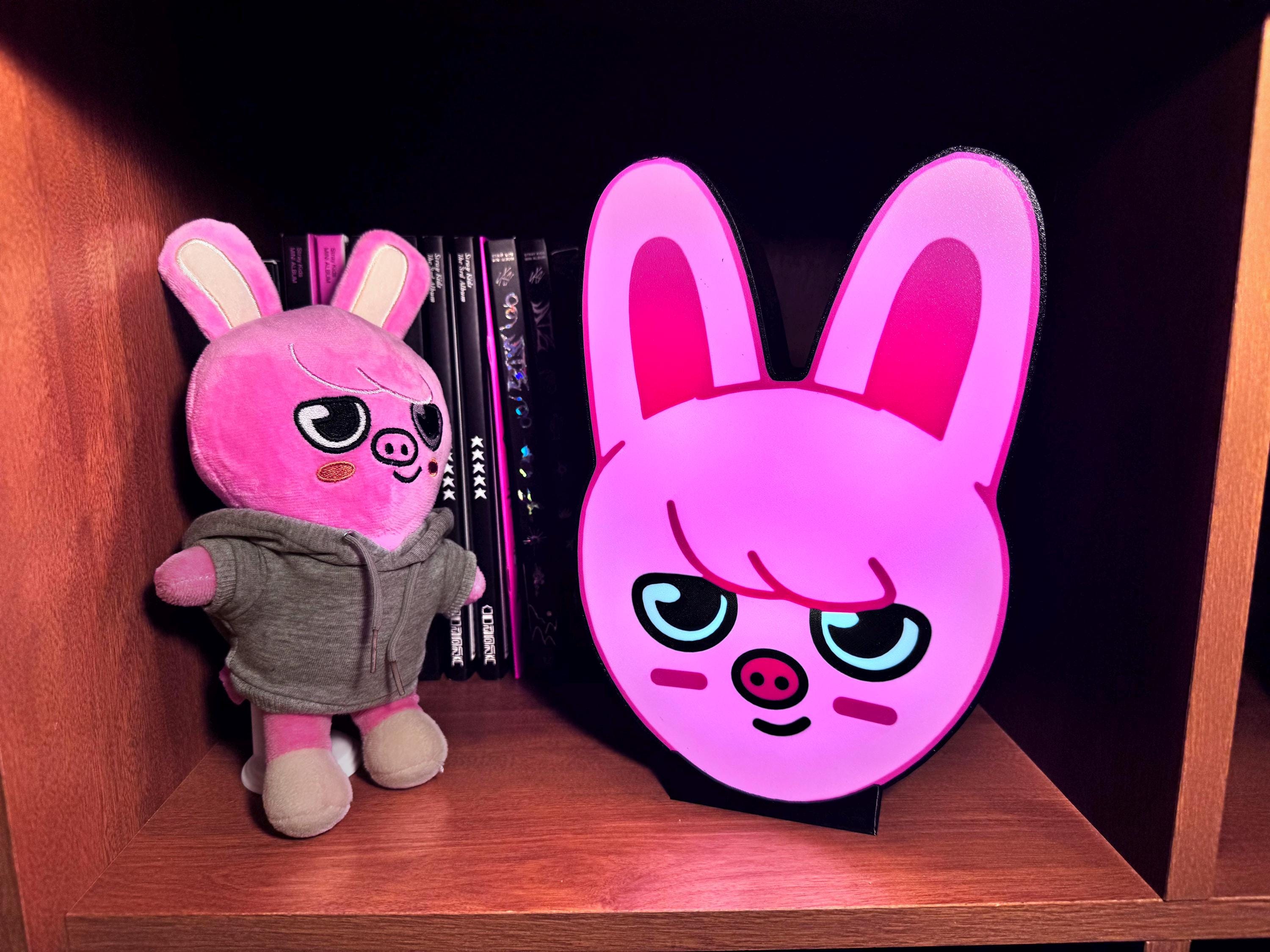 Stray Kids SKZOO Lightbox, SKZ Member Lamp, Nightlight, Light - Etsy