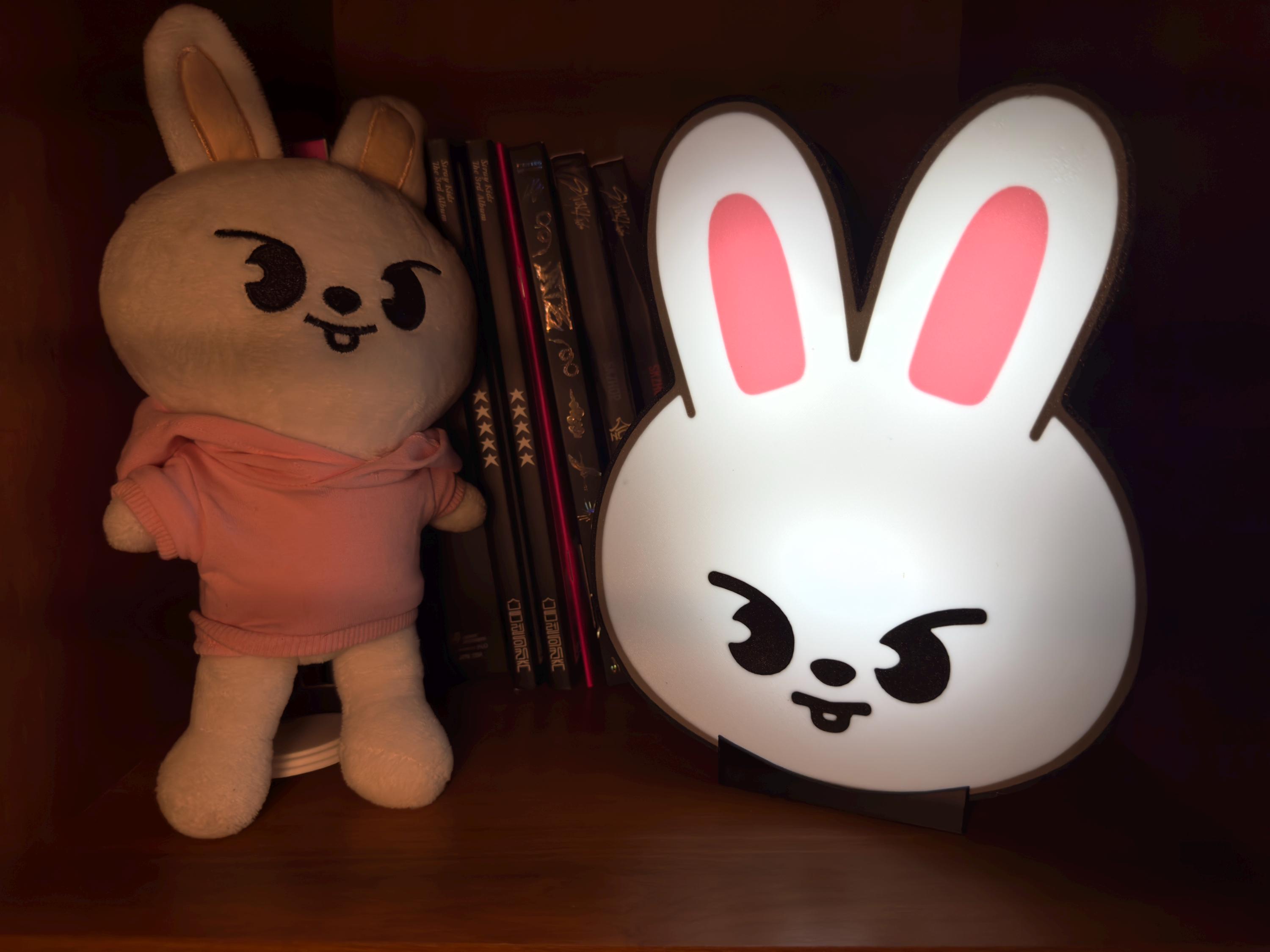 Stray Kids SKZOO Lightbox, SKZ Member Lamp, Nightlight, Light - Etsy