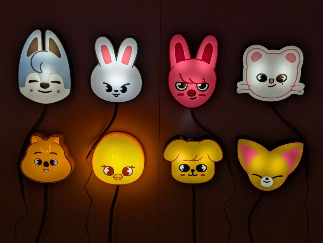 Stray Kids SKZOO Lightbox, SKZ Member Lamp, Nightlight, Light - Etsy
