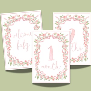 Baby Girl Milestone Cards / Baby Shower Gift Idea / Preppy Monthly Milestone Cards/ Classic Milestone Cards For Girls